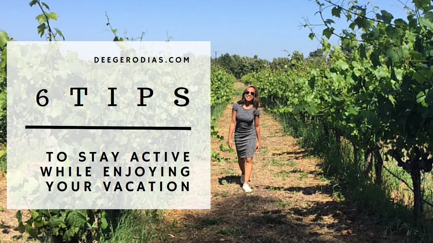 CALIFORNIA: Walked around vineyards in Napa Valley and Sonoma.