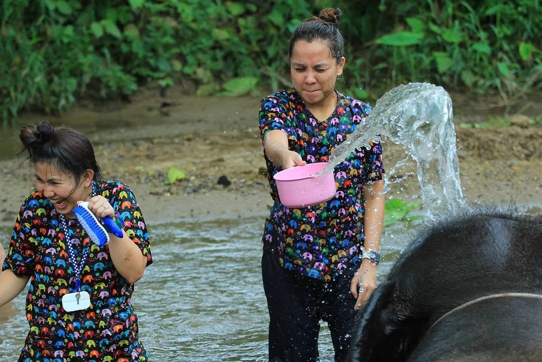 Two women in elephant-print shirts throwing water from a pink bucket