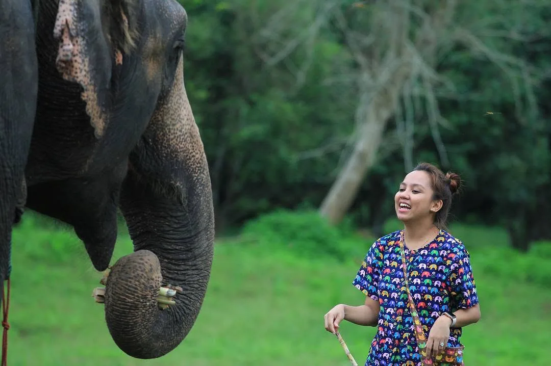 Dee laughing as an elephant curls its trunk around sugarcane