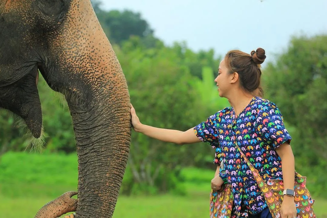 Dee touching the spotted trunk of an older elephant