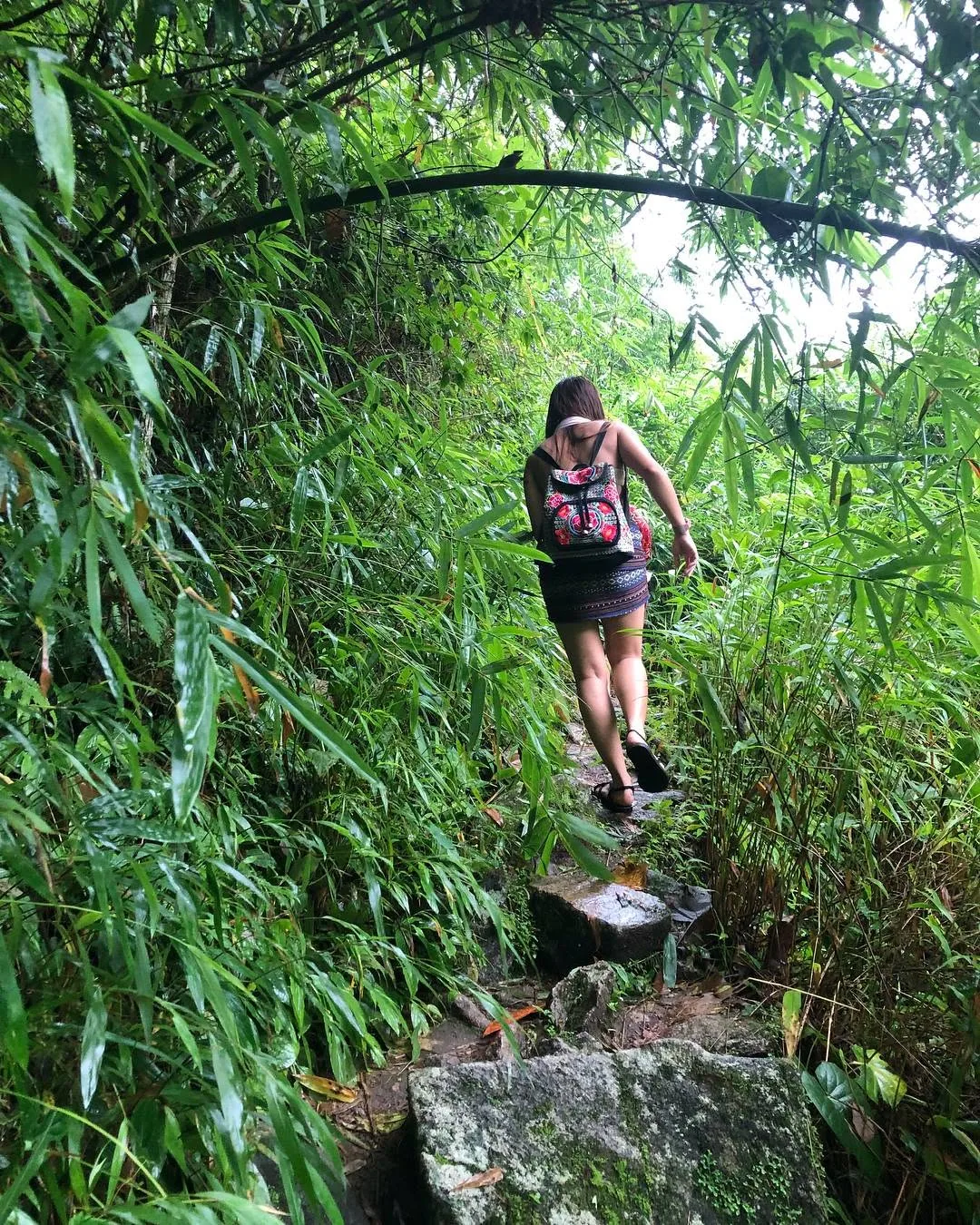 Dee walking up a stone path through dense bamboo