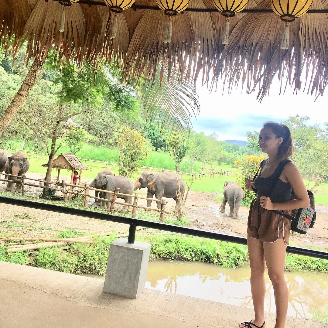 Dee looking out over elephants grazing in a green field