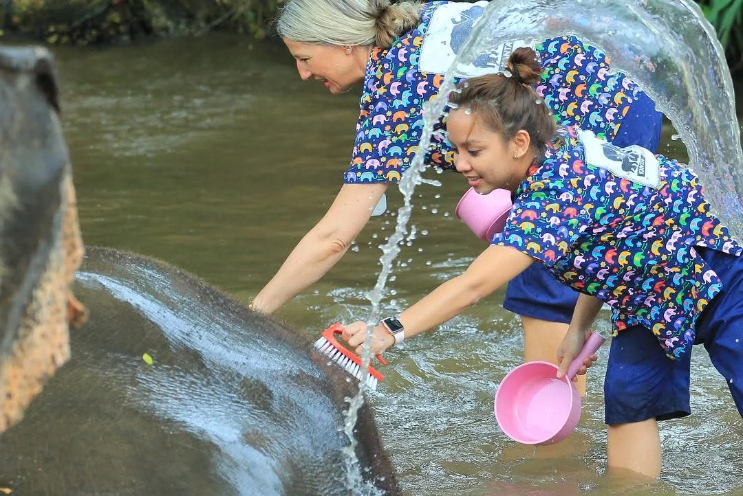 Dee scrubbing an elephant in the river while water splashes over her