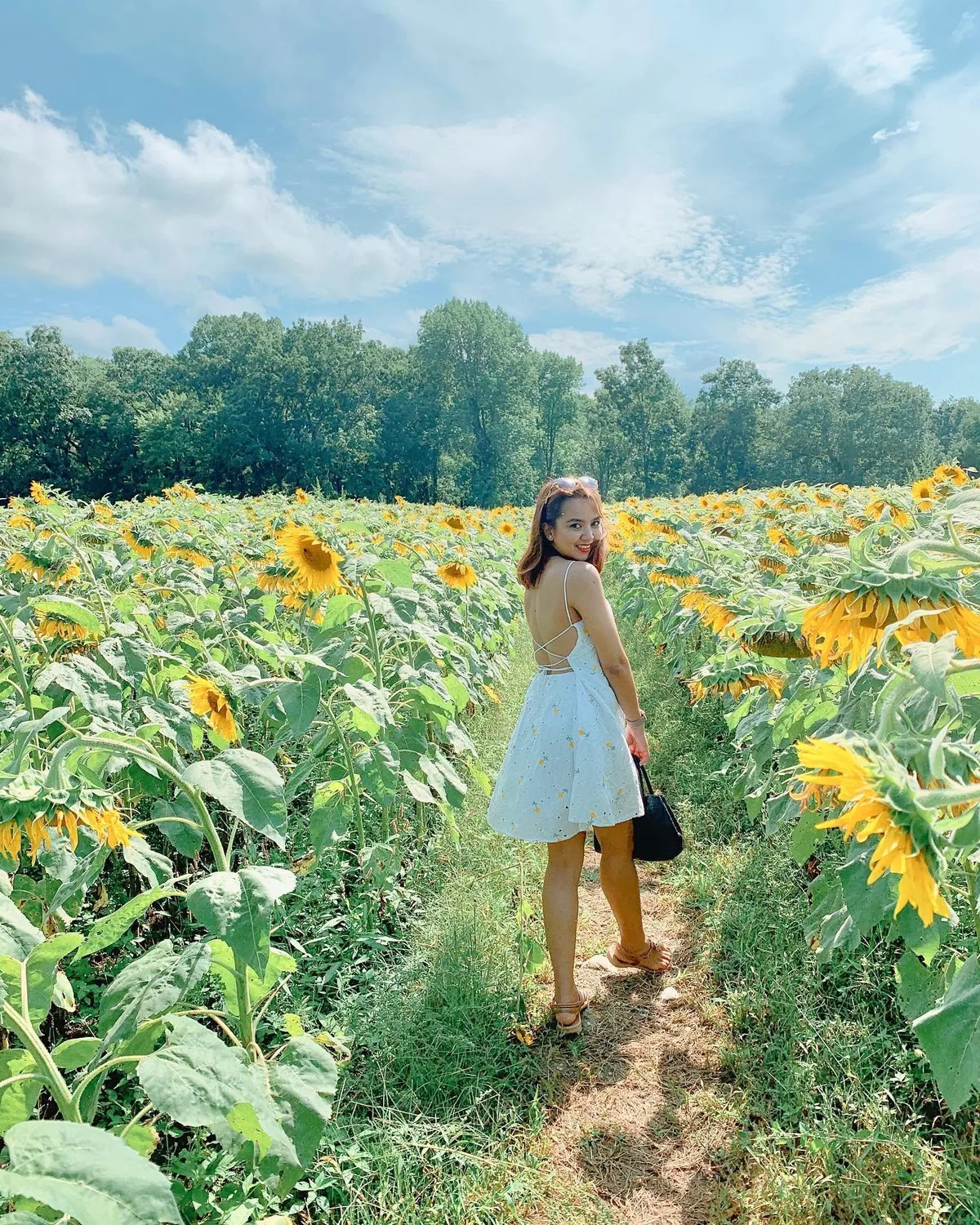 Dee in a white dress in a sunflower field